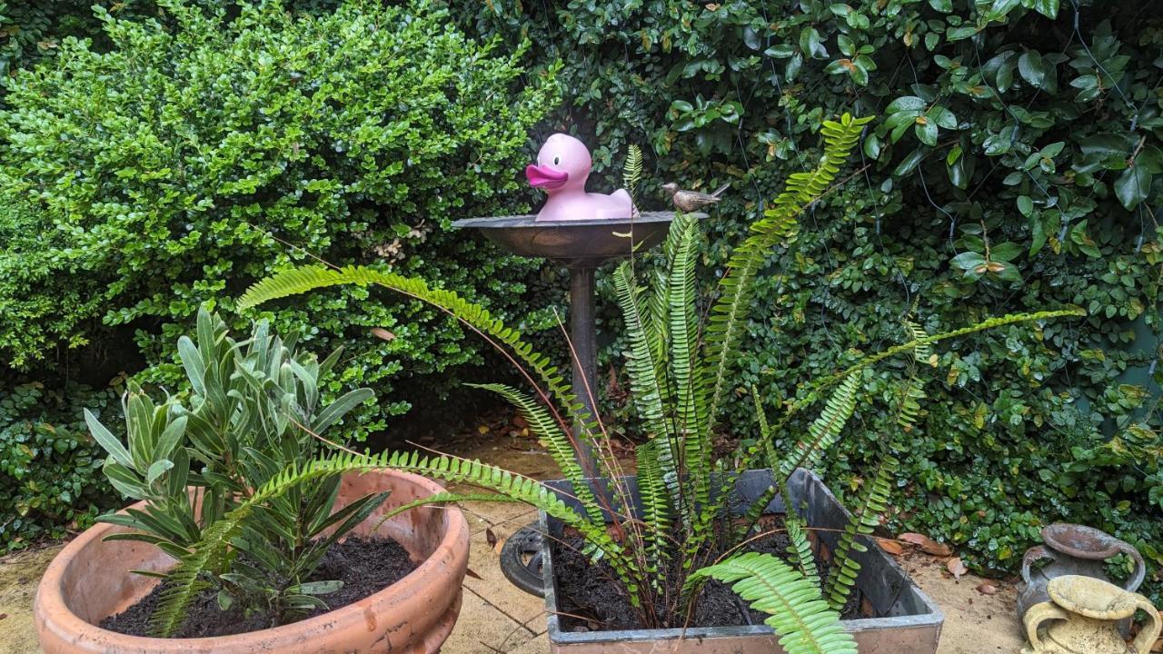 Kookaburra Place