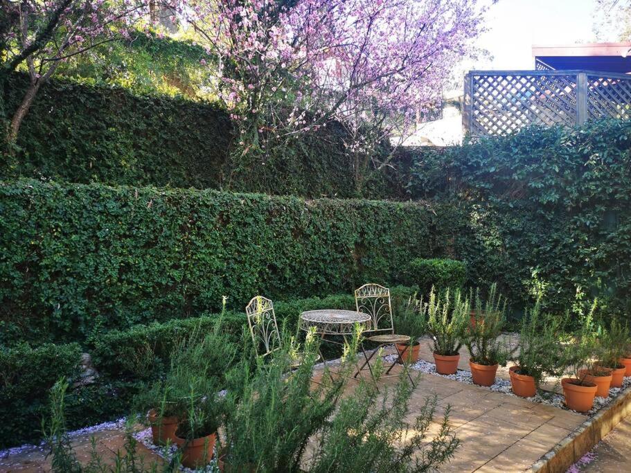 Kookaburra Place * Thornleigh